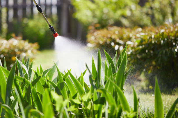 24/7 Emergency Mosquito Control experts in Clarendon, AR